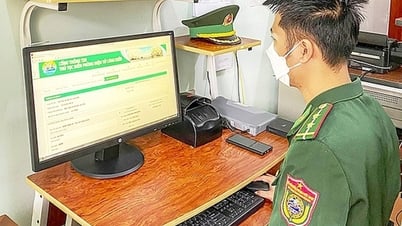 Предложение о внесении поправок в правила внедрения электронных пограничных процедур в морских портах и ​​пограничных пунктах пропуска - газета и радиовещание Lang Son
