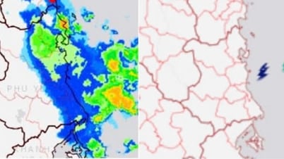 Avertissement d'orage, de tornade, d'éclairs, de grêle et de fortes pluies locales