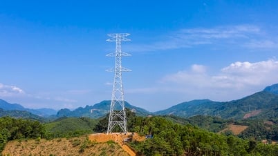 Dự án đường dây 500kV Lào Cai - Vĩnh Yên: Phấn đấu hoàn thành bàn giao mặt bằng trong tháng 5/2025