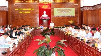 Tập trung giải quyết dứt điểm các vụ việc khiếu nại, tố cáo phức tạp, kéo dài