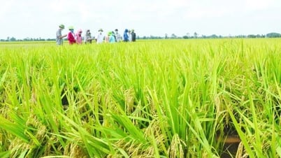 Über 1.000 landwirtschaftliche, forstwirtschaftliche und Fischereierzeugnisse nehmen am elektronischen Informationssystem zur Herkunftsverfolgung teil.