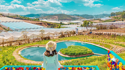 Top 10 địa điểm du lịch Đà Lạt mùa hè 2025 không thể bỏ qua