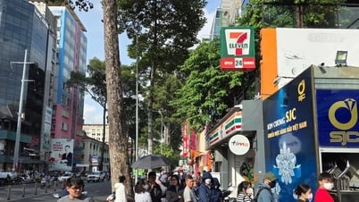 금값 2025년 5월 22일 오후 국내 금값 급등, 세계 금값 3300달러 상회