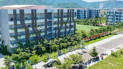 Trường Đại học FPT Quy Nhơn A.I Campus: Lựa chọn lý tưởng cho Gen Z yêu công nghệ