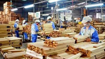 Mehr als 100 Unternehmen nahmen am Webinar „Vietnam-Indien-Zusammenarbeit im Holz- und Möbelsektor: Wesentliche Verbindungen, Ausbau der Zusammenarbeit, Förderung des Exports“ teil.