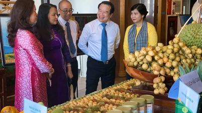 Cần Thơ xúc tiến, quảng bá du lịch tại Huế