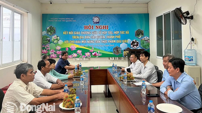 Kết nối giao thương hợp tác xã, tổ hợp tác ở huyện Cẩm Mỹ với chợ đầu mối Dầu Giây