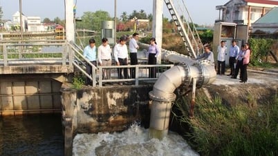 Xâm nhập mặn không ảnh hưởng đến sản xuất