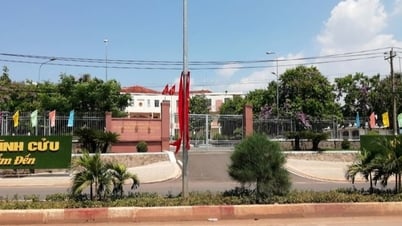 동나이, 디지털 변혁 배우기 위해 하장 방문 대표단 승인한 구청장 비판