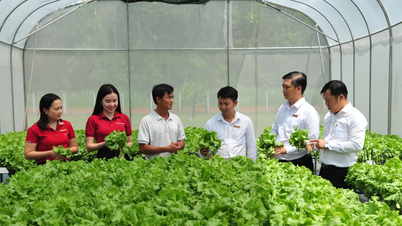 Agribank mở rộng vốn ưu đãi lĩnh vực nông, lâm, thủy sản lên 20.000 tỷ đồng