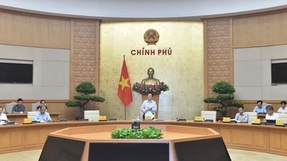 Tích cực xây dựng dự thảo Nghị định quy định về phân cấp quản lý nhà nước trong lĩnh vực văn hóa, thể thao và du lịch