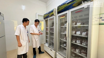 Cần chủ động, linh hoạt tìm nguồn máu phục vụ cấp cứu ở Hà Tĩnh