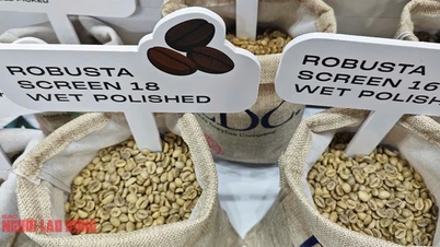 Kaffeepreis heute, 22. Mai: Der König der Kaffeeexporte wurde „entthront“