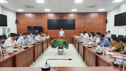 Phuoc Son se prepara cuidadosamente para el examen de ingreso al décimo grado.