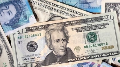 Tỷ giá USD hôm nay (22-5): Đồng USD trượt khỏi mốc 100