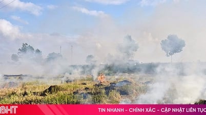 ការ​កំណត់​ការ​ដុត​ចំបើង​បន្ទាប់​ពី​រដូវ​ប្រមូល​ផល​ស្រូវ​នៅ​ខេត្ត Ha Tinh