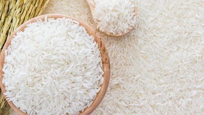 Giá lúa gạo ngày 21/5: Giá gạo, phụ phẩm tăng mạnh
