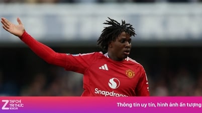 ファーディナンド、未熟なマンチェスター・ユナイテッドのディフェンダーを批判