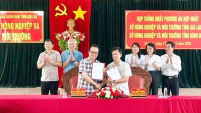 Đấu tranh kiên quyết với các luận điệu sai trái, thù địch về sáp nhập, tinh gọn bộ máy