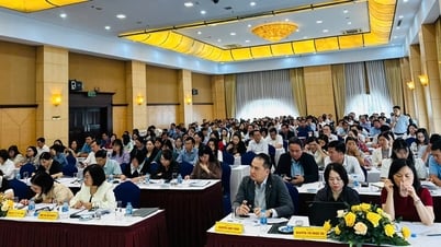 مؤتمر حول التوجيه المالي لصندوق دعم المزارعين في فيتنام