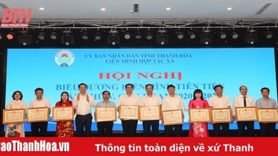 Thanh Hoa Cooperative Alliance lobt fortschrittliche Modelle für den Zeitraum 2020–2025