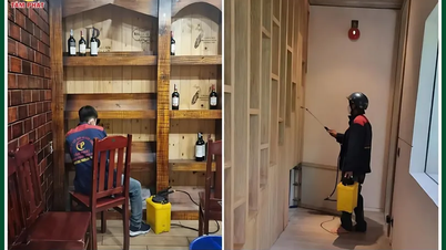 Công ty diệt mối tận gốc tại Cần Thơ uy tín, giá rẻ - Diệt Mối Tâm Phát