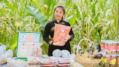 ក្មេងស្រី Tay ប្រើបច្ចេកវិទ្យាបង្កើត "គុយទាវប្រេន"