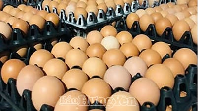 ตื่นตระหนกข่าวลือไข่ปลอม