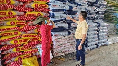 フーミー湖は夏秋作物と雨季向けに約50万トンの肥料を供給している。