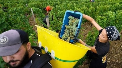 La Comisión Europea presenta un importante plan para simplificar las normas agrícolas de la UE