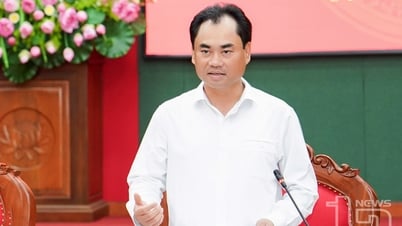 Esforzarse por publicar pronto la serie de libros Historia de la provincia de Thai Nguyen