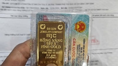Sáng 23-5, giá vàng miếng SJC tụt khỏi mốc 121 triệu đồng/lượng