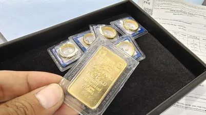 Precio del oro hoy 23 de mayo: medio millón de dongs por tael bajaron.