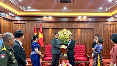 Los líderes provinciales de Gia Lai recibieron a una delegación de alto rango de la provincia de Stung Treng