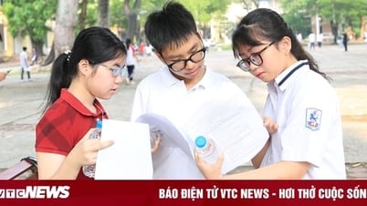 Examen de muestra para el examen de ingreso de décimo grado en Hanoi 2025, asignatura de matemáticas y respuestas