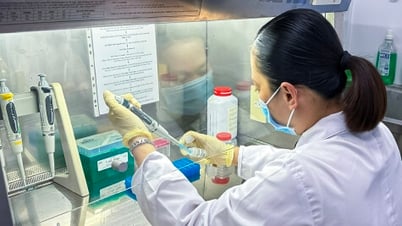 Tạo đột phá vì sự phát triển bền vững