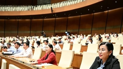 أقر مجلس الأمة قرارا بشأن استكمال تقديرات الموازنة العامة للدولة للنفقات العادية.