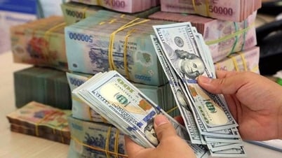 石油・ガス事業における海外投資のための外貨管理