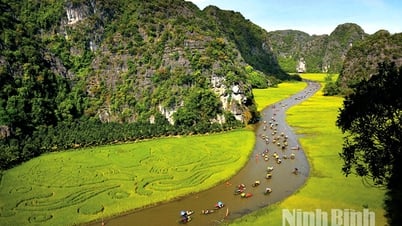 Ninh Binh desarrolla la industria cultural y promueve la economía creativa
