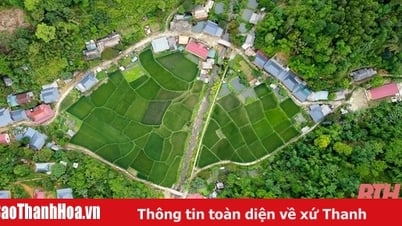 ខូវ មួង ភ្ញាក់នៅកណ្តាលព្រៃ