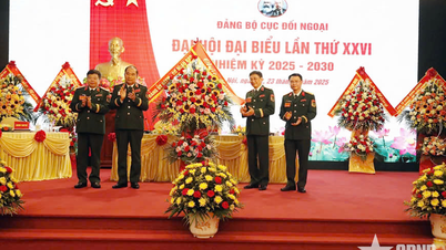 Le lieutenant-général Phung Si Tan assiste au Congrès des délégués du Parti du ministère des Affaires étrangères