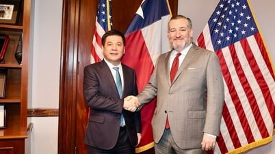 Thúc đẩy đối thoại để sớm đạt tiến triển trong đàm phán thương mại Việt-Mỹ