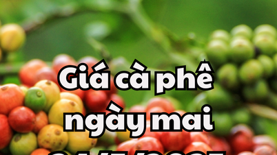 ព័ត៍មាន ការព្យាករណ៍តម្លៃកាហ្វេថ្ងៃស្អែក ទី២៤ ខែឧសភា ឆ្នាំ២០២៥៖ ពិបាកក្នុងការរក្សាសន្ទុះកើនឡើង