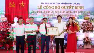 El 100% de las comunas del distrito de Son Duong cumplen con los nuevos estándares rurales