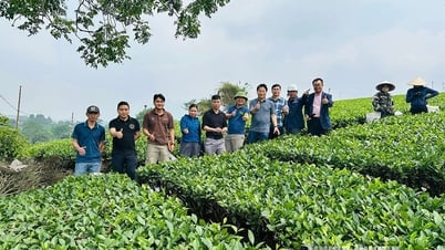 Hợp tác xã “hai trong một”