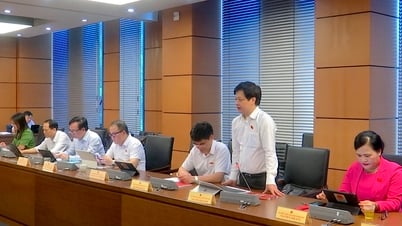 개발은 절약, 낭비 방지, 사회 정의와 함께 이루어져야 합니다.