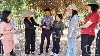 Phát triển thêm 30 hợp tác xã nông nghiệp
