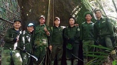 Куангнам активно платит за услуги по охране окружающей среды в лесах в соответствии с правилами