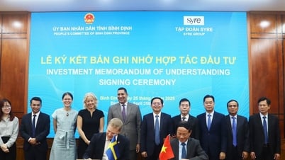 Binh Dinh – ein Lichtblick, der internationale Investoren anzieht