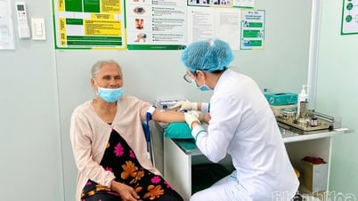 Nha Trang Night Run Sanvinest - Khanh Hoa Newspaper 2024 supports eye surgery for people in difficult circumstances